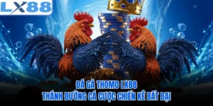 Đá Gà Thomo LX88 - Thánh Đường Cá Cược Chiến Kê Bất Bại